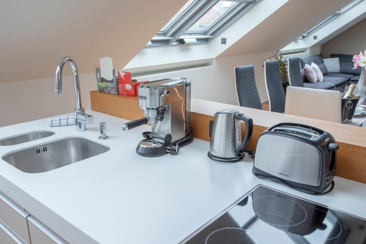 Luxury Duplex With Terrace Apartment Prag